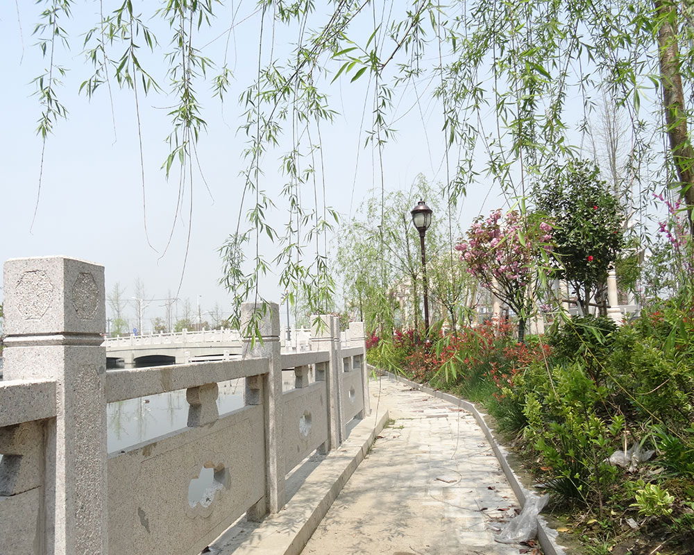 熱烈祝賀公司網站成功上線啦！